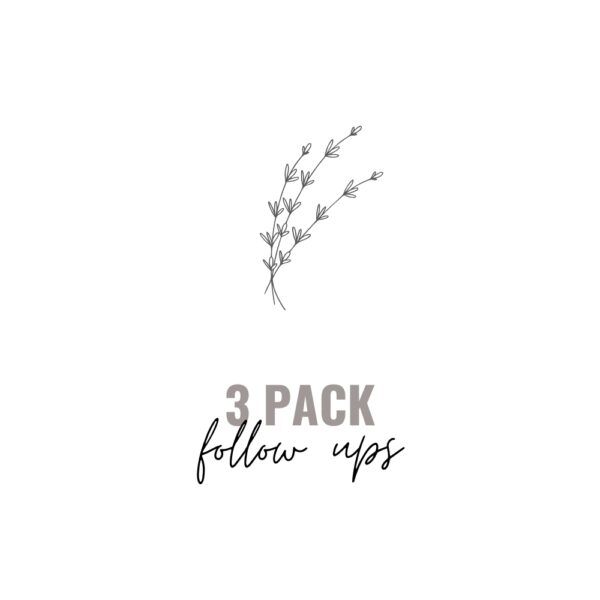 3 Pack | Follow Up Sessions