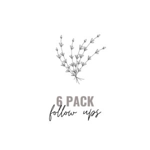 6 Pack | Follow Up Sessions