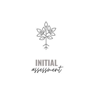 Initial Assessment