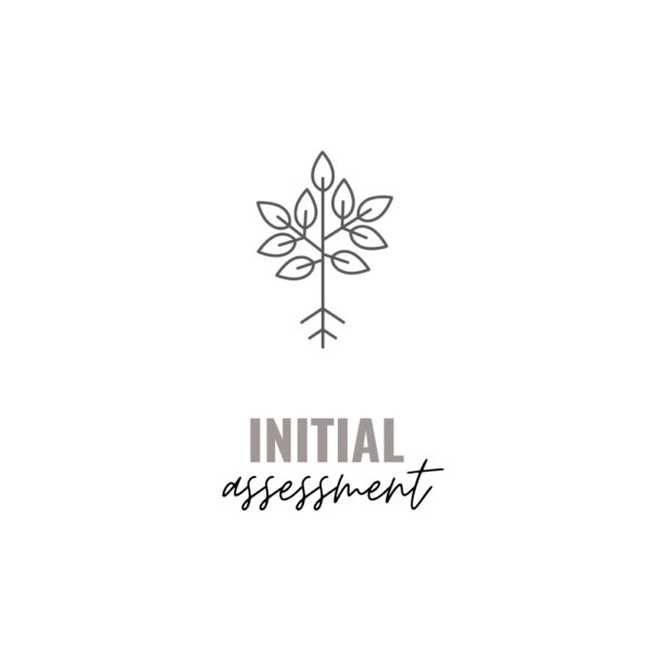 Initial Assessment