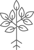 Root-Stage-3-1.png